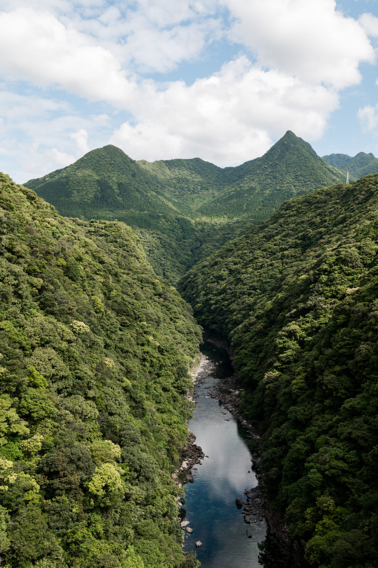 Yakushima Portrait 13