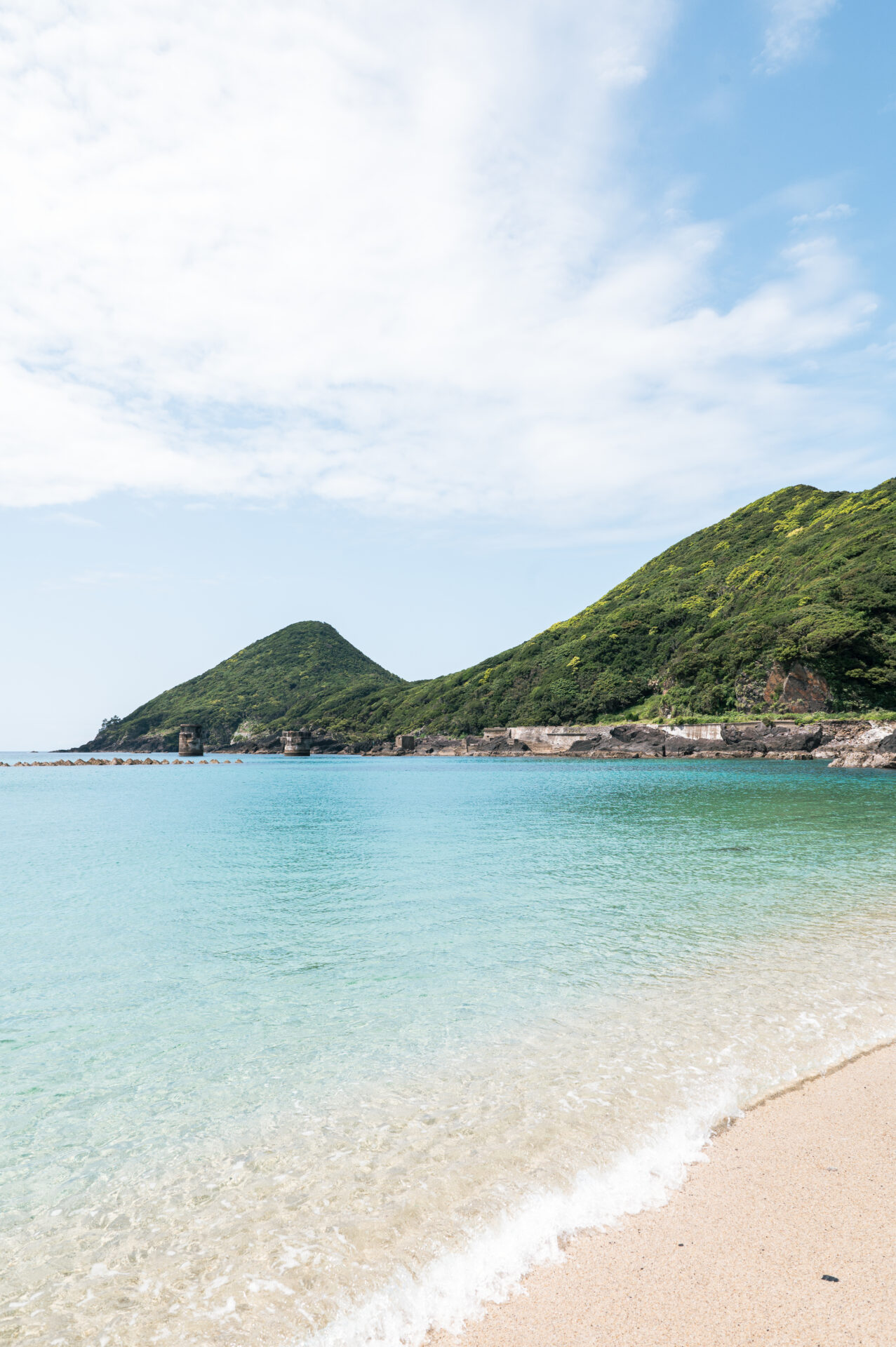 Yakushima Portrait 18