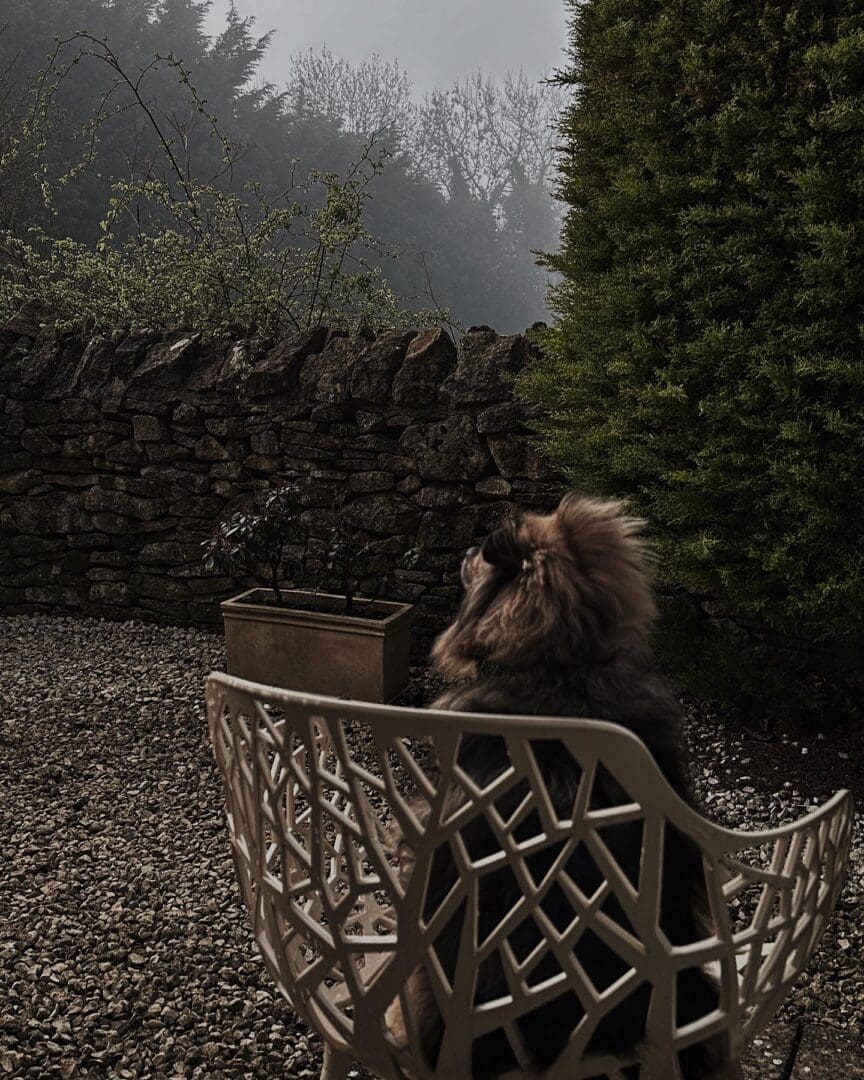 Dormy House: the most stylish dog-friendly hotel in the Cotswolds 2 credit Luke Abrahams 2