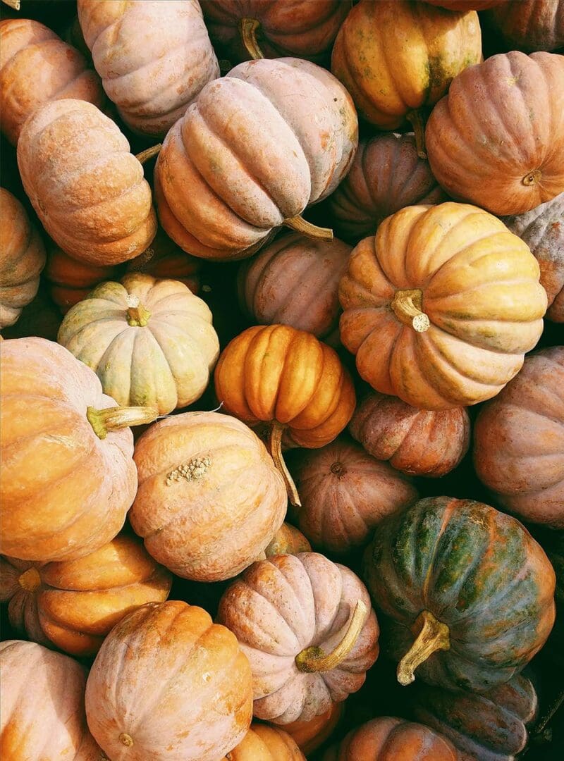 5 holiday ideas to embrace the autumn equinox 21 pumpkins resized