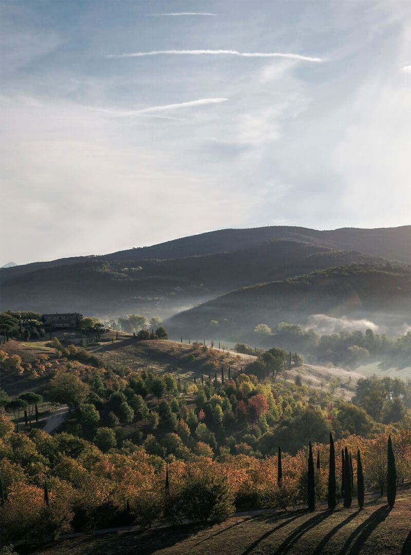 Reschio
