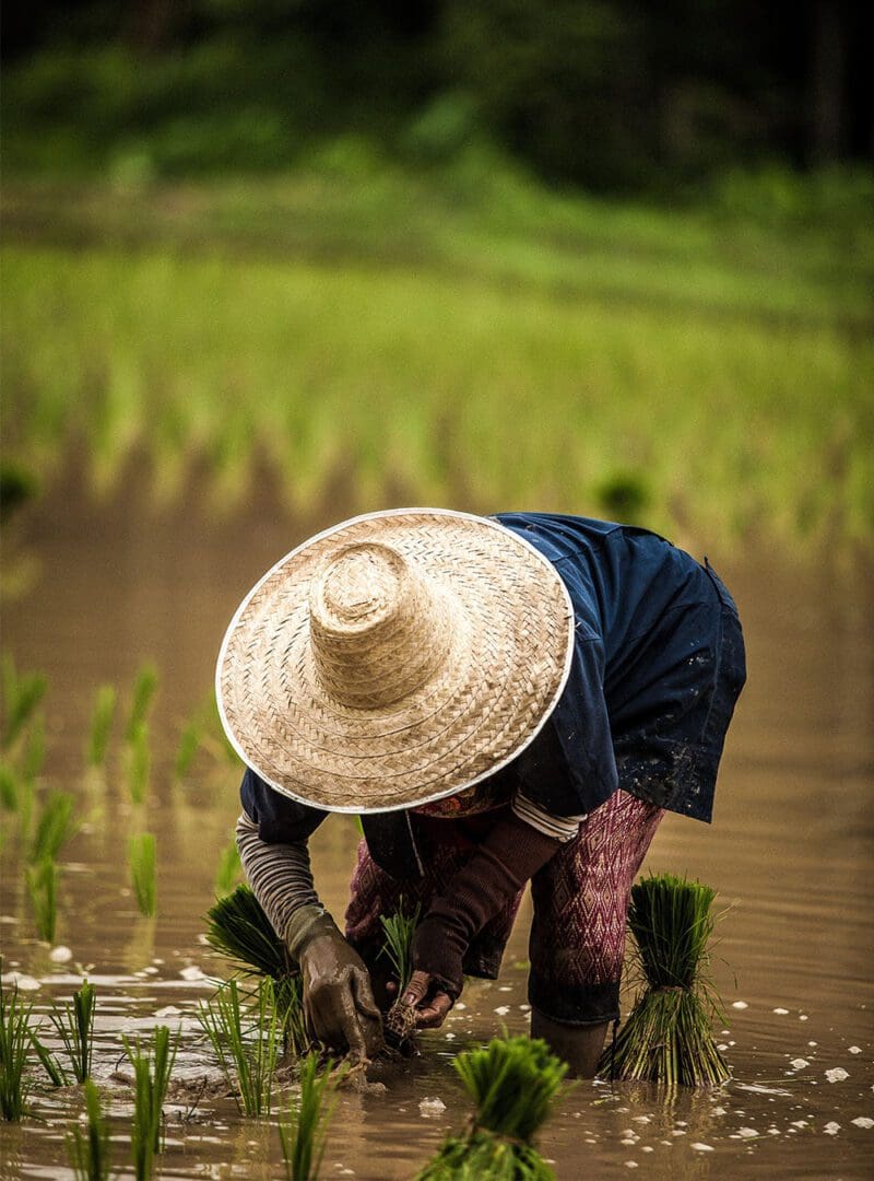 Top 22 destinations for 2023: according to SLH Club Members 23 resized Thailand