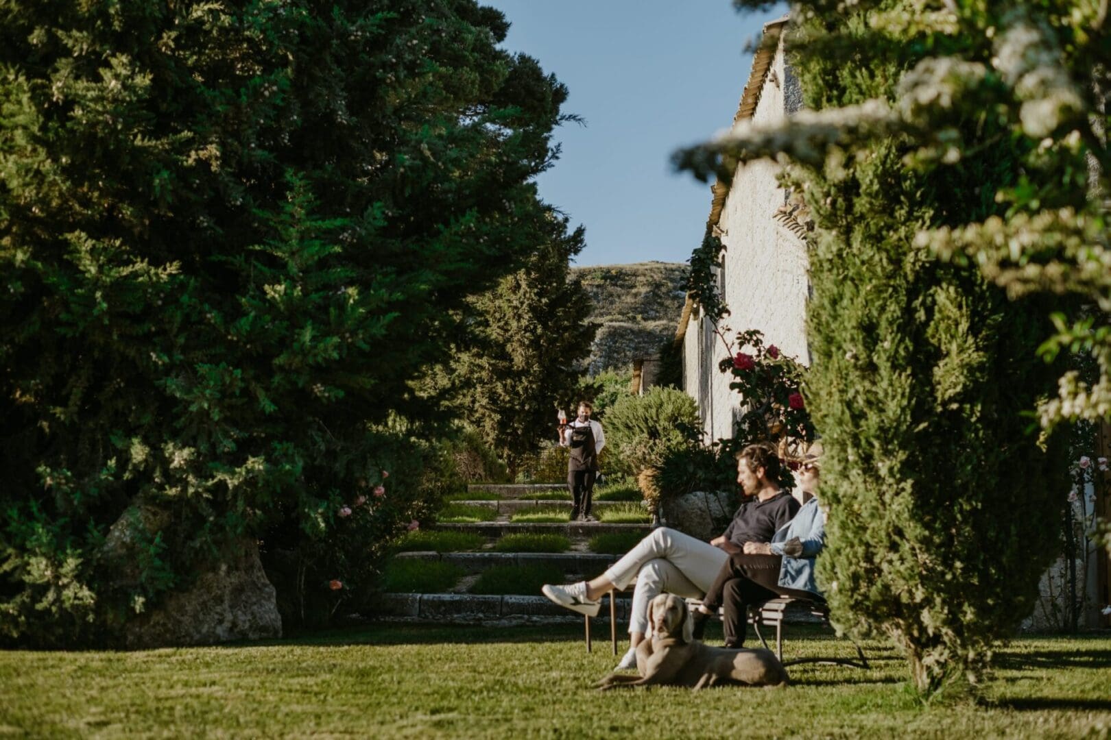 The ultimate dog-friendly boutique hotel guide 38 susafa maggio hq 225 scaled 1 scaled